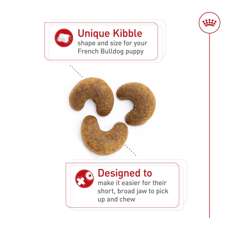 Royal Canin Breed Health Nutrition French Bulldog Puppy Dry Dog Food, 3 lb Bag - Image 2