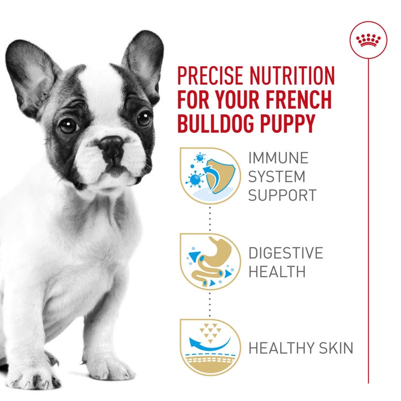Royal Canin Breed Health Nutrition French Bulldog Puppy Dry Dog Food, 3 lb Bag - Image 3