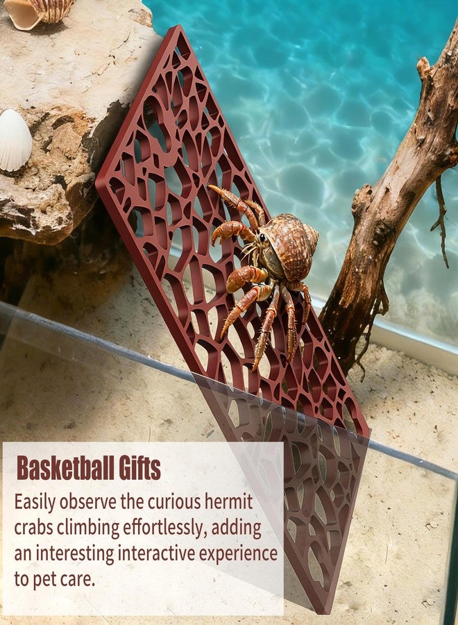 UNISOLODECHO Hermit Crab Ladder Climbing Toy | Hermit Crab Accessories | Hermit Crab Tank Enrichment Decor for Crabs, Lizards, Chameleons, Parrots - Image 2