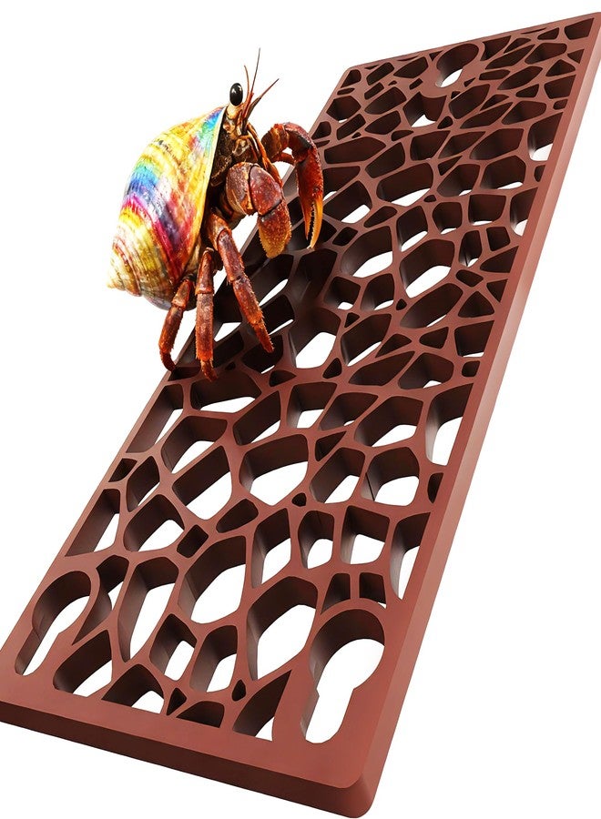 UNISOLODECHO Hermit Crab Ladder Climbing Toy | Hermit Crab Accessories | Hermit Crab Tank Enrichment Decor for Crabs, Lizards, Chameleons, Parrots - Image 1