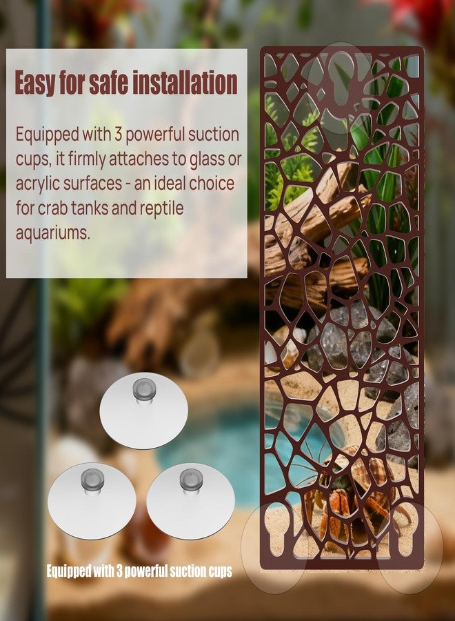 UNISOLODECHO Hermit Crab Ladder Climbing Toy | Hermit Crab Accessories | Hermit Crab Tank Enrichment Decor for Crabs, Lizards, Chameleons, Parrots - Image 3