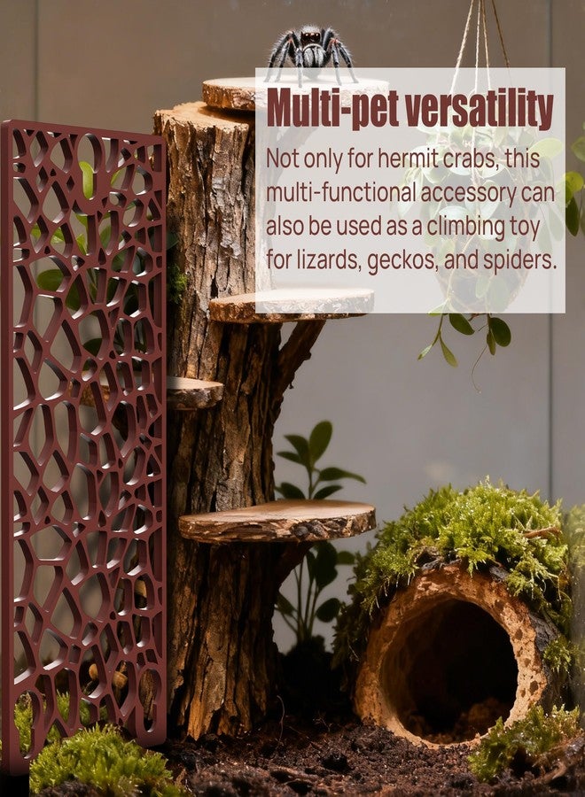 UNISOLODECHO Hermit Crab Ladder Climbing Toy | Hermit Crab Accessories | Hermit Crab Tank Enrichment Decor for Crabs, Lizards, Chameleons, Parrots - Image 4