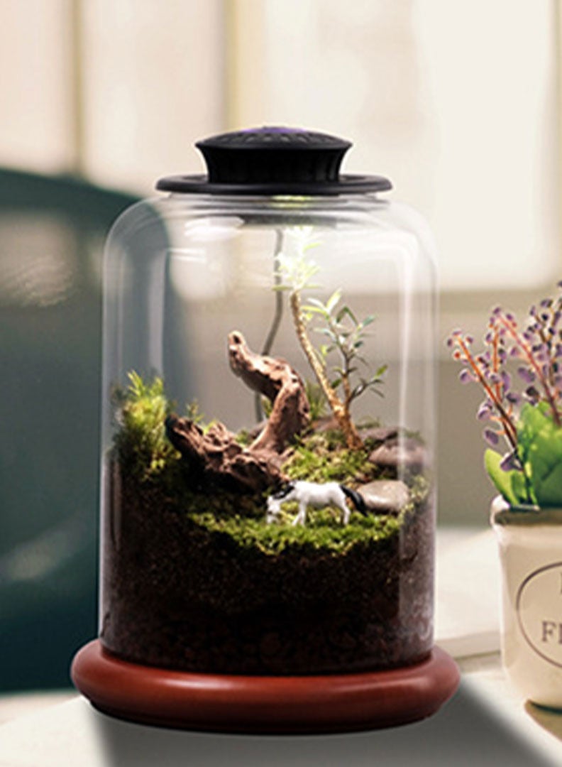 غطاء بقطر 125مم مع انارة و مؤقت خاصة باحواض الاسماك و التيراريوم - Image 3