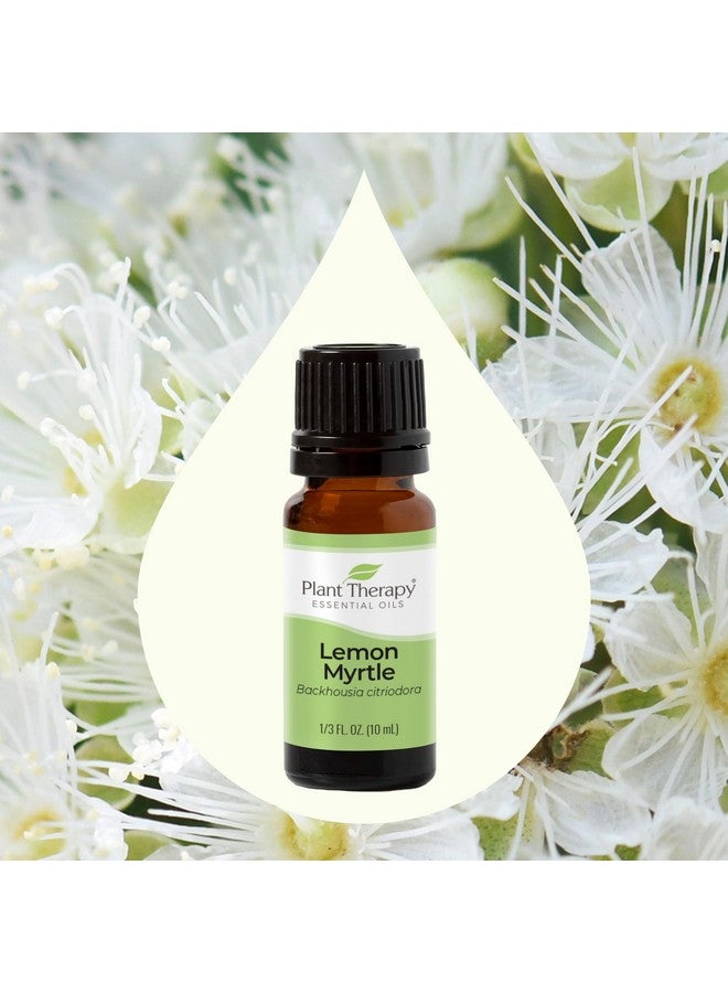 Plant Therapy Lemon Myrtle Essential Oil 10 Ml (1/3 Oz) 100% Pure, Undiluted, Therapeutic Grade - Image 3