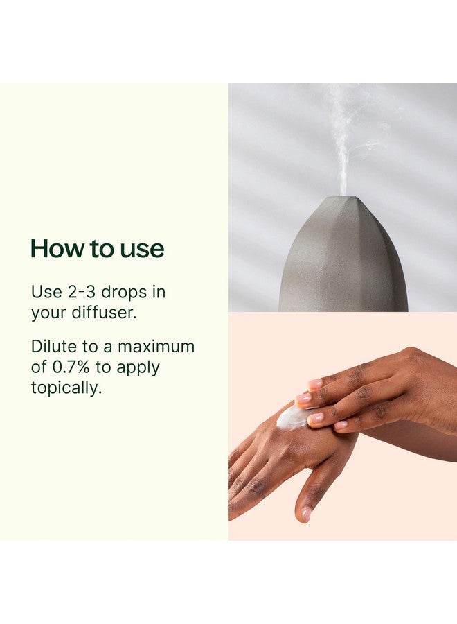 Plant Therapy Lemon Myrtle Essential Oil 10 Ml (1/3 Oz) 100% Pure, Undiluted, Therapeutic Grade - Image 2