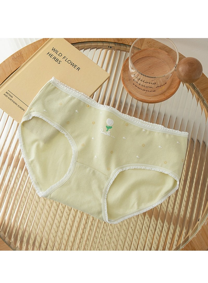 مجموعة من 5 ملابس داخلية قطنية أنيقة بخصر متوسط، ملابس داخلية مريحة وجيدة التهوية للفتيات - Image 4