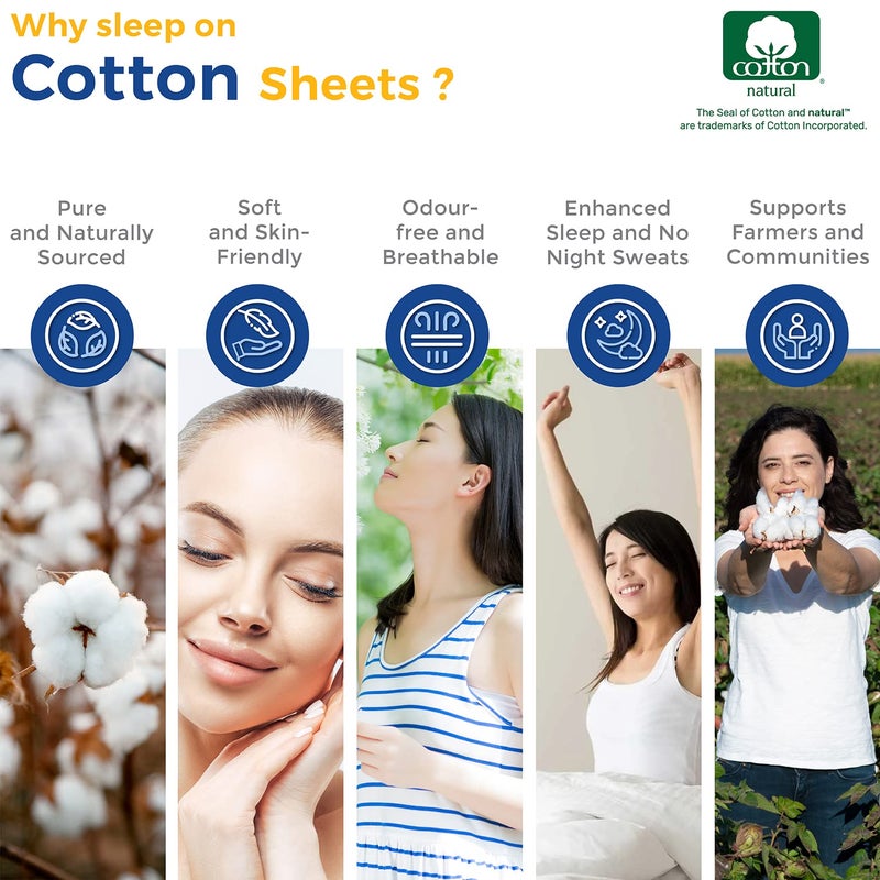 THREAD SPREAD انتشار الخيط مخطط مصري أوراق القطن التوأم XL الحجم - 600 Thread Count 3 PC Damask Twin XL Sheets جيوب عميقة Sateen Comele - Image 5