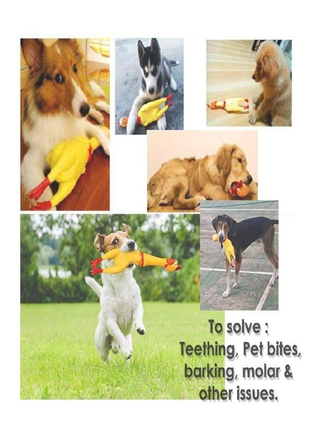 PETLICIOUS & MORE لعبة مضغ على شكل دجاجة مطاطية تصدر صوتاً من بيتليشوس آند مور (كبيرة، صفراء) + بطاقة تعريف مجانية للكلاب - Image 3