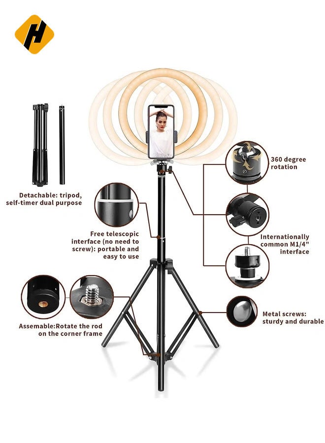 HuHa Ring Light 25cm with Tripod Stand & Phone Holder for YouTube Video, Desktop Camera Led Ring Light for Streaming, Makeup, Selfie Photography Compatible with iPhone Android  - Image 2