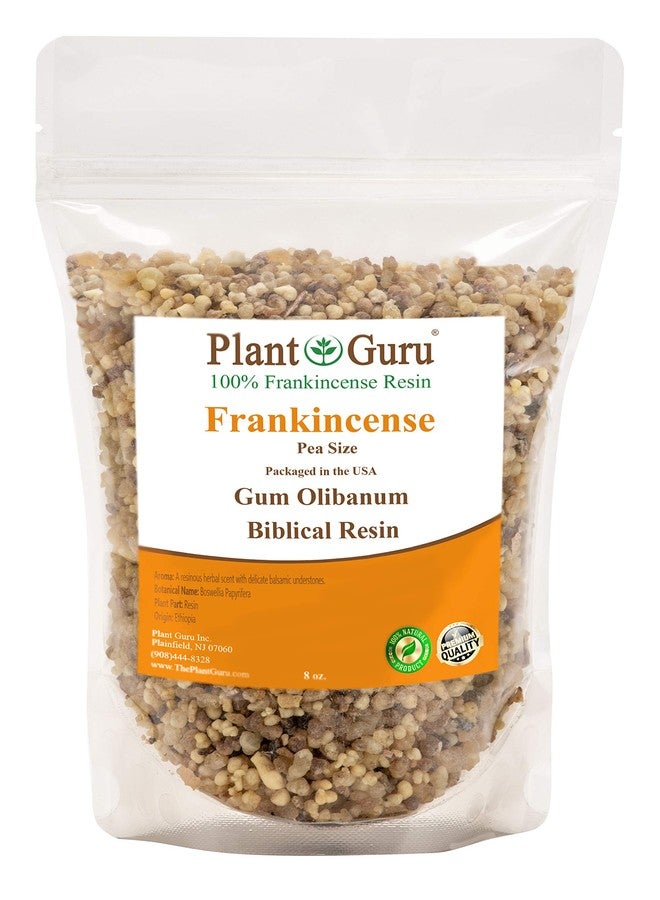 بلانت جورو صمغ اللبان بحجم حبة البازلاء، 8 أونصات. بوسويليا بابيريفيرا، صمغ طبيعي 100%، بخور صخري عطري