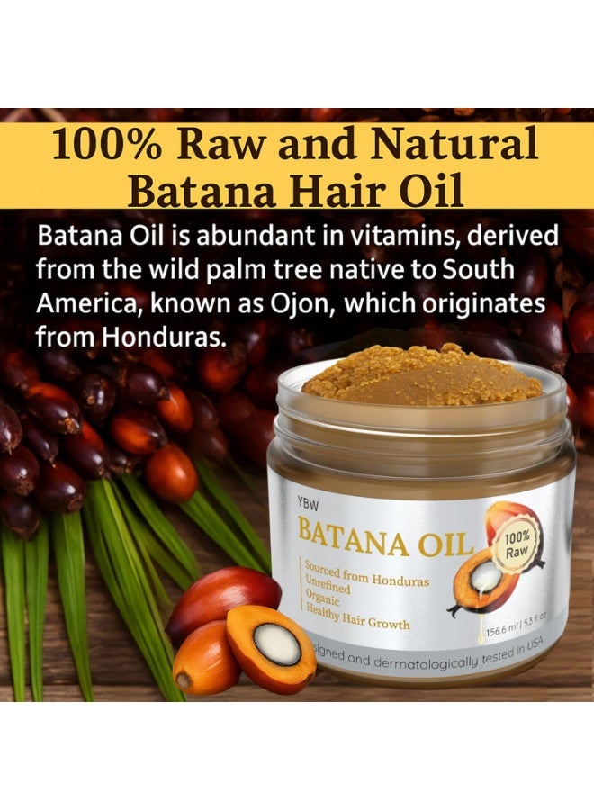 YBW Batana Oil for Hair Growth Dr. Sebi Organic, Natural, Pure and 100% Raw Batana Oil Paste from Honduras - Botana Enhances Hair Thickness, Prevents Loss for Men and Women - Image 4