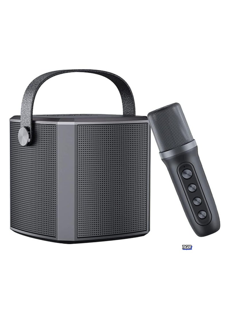 TIGER Portable Bluetooth Karaoke Speaker with Rechargeable Wireless Microphone – Multiple Voice Modes, Type-C Charging, TF Card Support, Perfect for Karaoke Parties, Home Entertainment & Events (Black) - Image 1