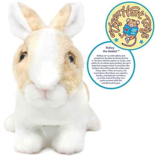 TigerHart Ridley The Rabbit - 11 Inch Realistic Stuffed Animal Plush Bunny - Image 4