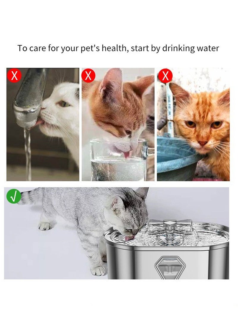 كيدل الأبحاث المتعلقة ب التلقائي موزع مياه الشرب القط  - Image 4