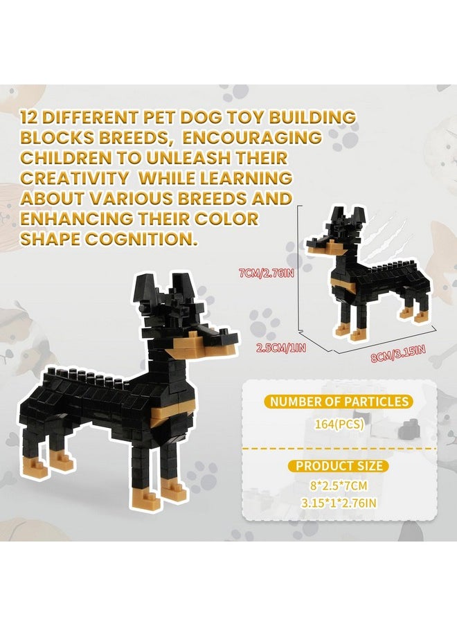 BOROLA BOROLA Pet Dog Building Blocks Set Educational Toy Realistic Fun Animal Assembly Kit Toys Games(Doberman Pinscher Blocks)  - Image 2