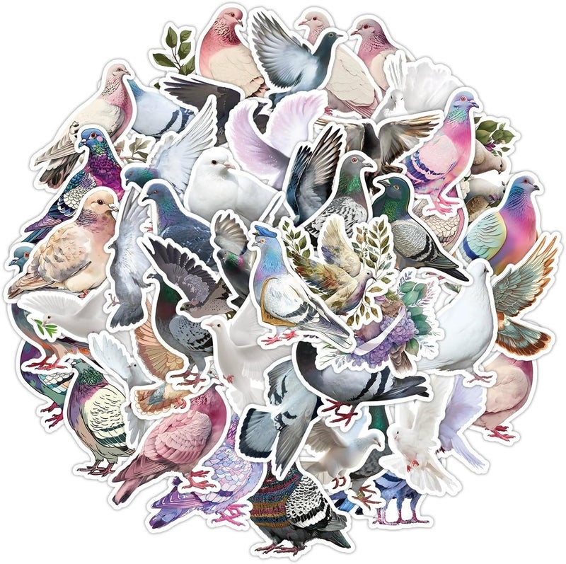 AUCEKO 50 PCS Stickers for Pigeon,Animal Pigeon Stickers,Teens Boys and Girls Sticker Pack Vinyl Skateboard Guitar Door Laptop Luggage Car Bike Water Bottle Birthday Party Supplies Stickers - Image 1