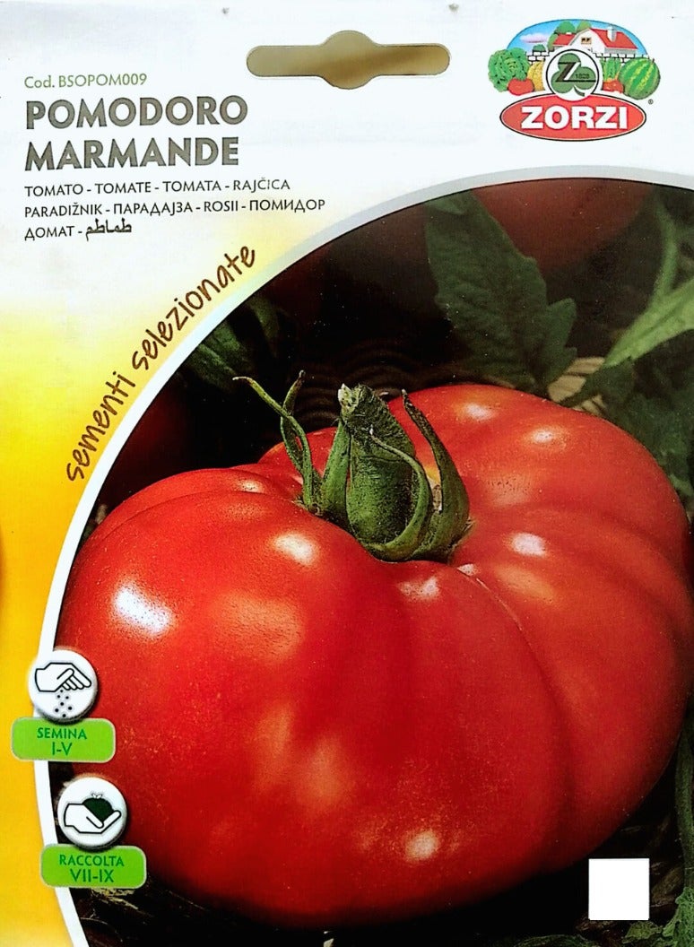 ZORZI Tomato Seeds - Image 1