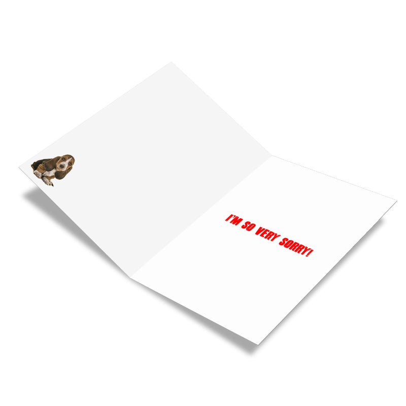 NobleWorks - I'm Sorry Greeting Card with Envelope - Funny Forgive Me Notecard - Terrible Mistake C7220SRG - Image 2