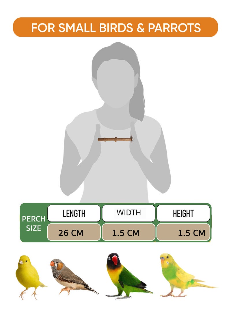 CHEWY BEAK Birds Stand Indonesian Java wood Parrot Perch for extra small Birds finch canary budgies  Wooden Tree branch Cage Accessories - Image 2
