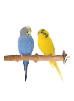 CHEWY BEAK Birds Stand Indonesian Java wood Parrot Perch for extra small Birds finch canary budgies  Wooden Tree branch Cage Accessories  - Image 1
