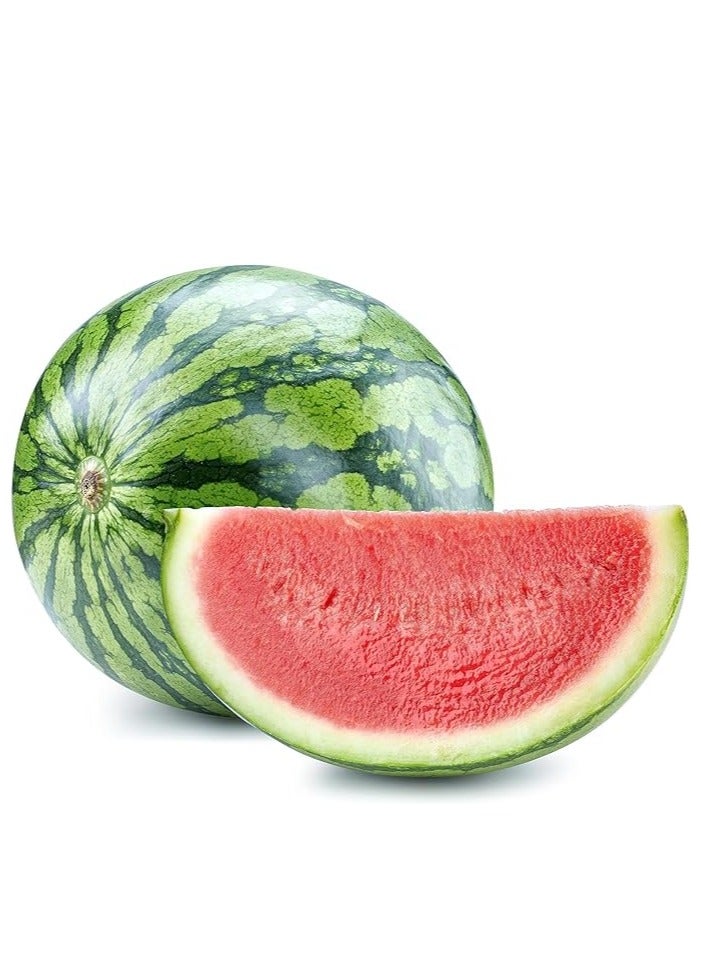vsell24 3 Pack Watermelon Seeds for Planting Grow Water Melon At Home Non-GMO Home Garden Seeds With 99% Cleaness, 95% Purity, 90% Germination Rate 10g - Image 4