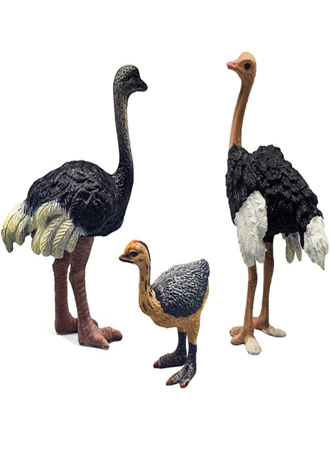 DOYIFUN 3 Pcs Realistic Ostrich Family Figurines Cake Topper, Plastic Wildlife Animal Toy Figures Collection Playset Birthday Gift Educational Learning Props - Image 1