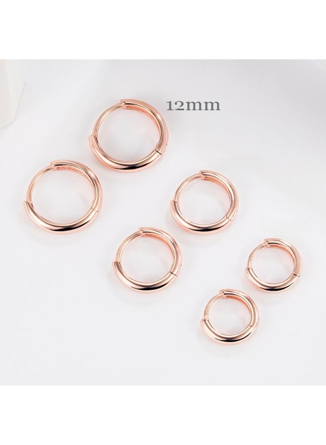 European And American Personality Fashion Multi-size Glossy Circle Ear Buckle Earrings Golden Age Same Style Gold Fashion Earrings 