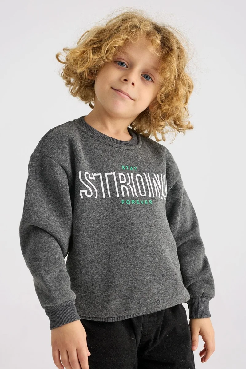 زيبكيدز Crew Neck Long Sleeve Anthracite Color Boy's Sweatshirt