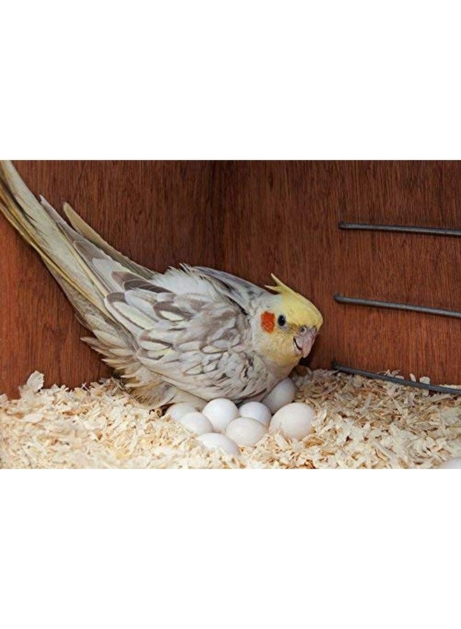 Western Era Natural Wood Shaving Soft Nesting Material for Birds. (100grm) - Image 4