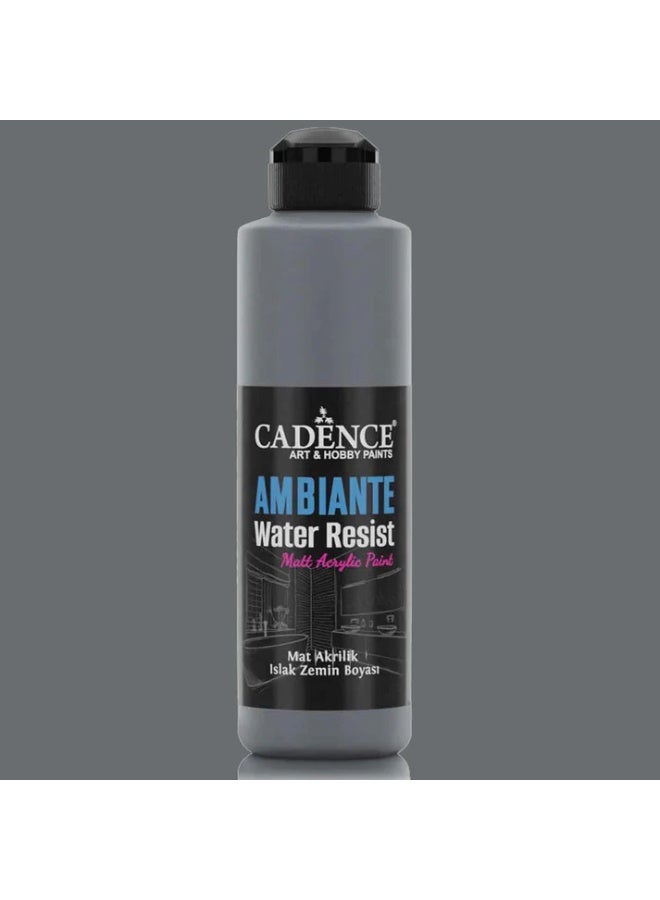 Ambiante Water Resist Matt Grafitti Gray - 250ML