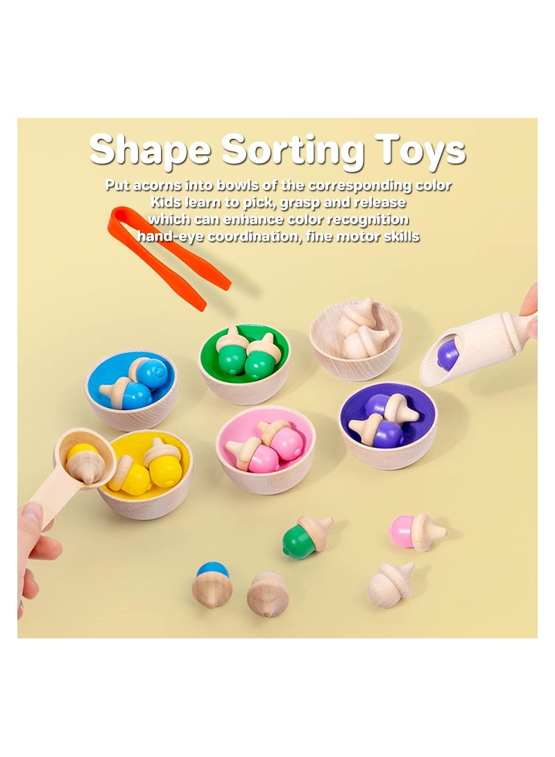 KASTWAVE Wooden Color Sorting Toys for Baby, Color Learning Activities Teaching Toy Color Matching Game, Rainbow Counting Acorns with Bowls Tweezer Spoon, Montessori Toy for Kids Boys Girls - Image 4