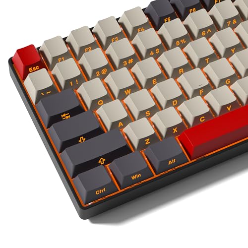 Rainy75 Shine Through Double Shot PBT Keycaps Set, Cherry Profile Custom Keycaps 60 65 75 100 Percent for 61/64/68/84/87/100/104/108 Retro Gaming Mechanical Keyboard, Purple Gray Red - Image 1