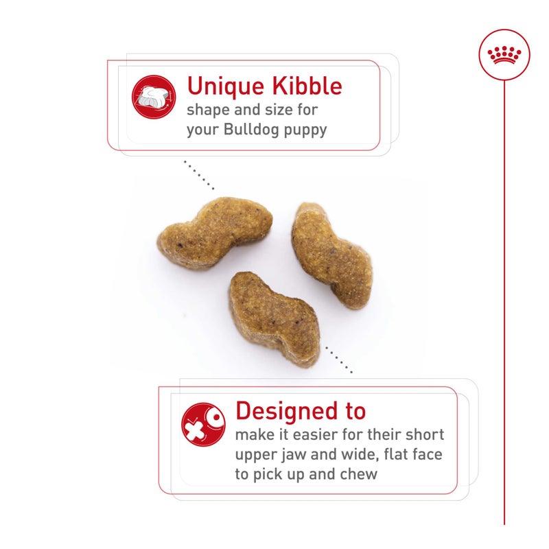 Royal Canin Breed Health Nutrition Bulldog Puppy Dry Dog Food, 6 lb Bag - Image 2