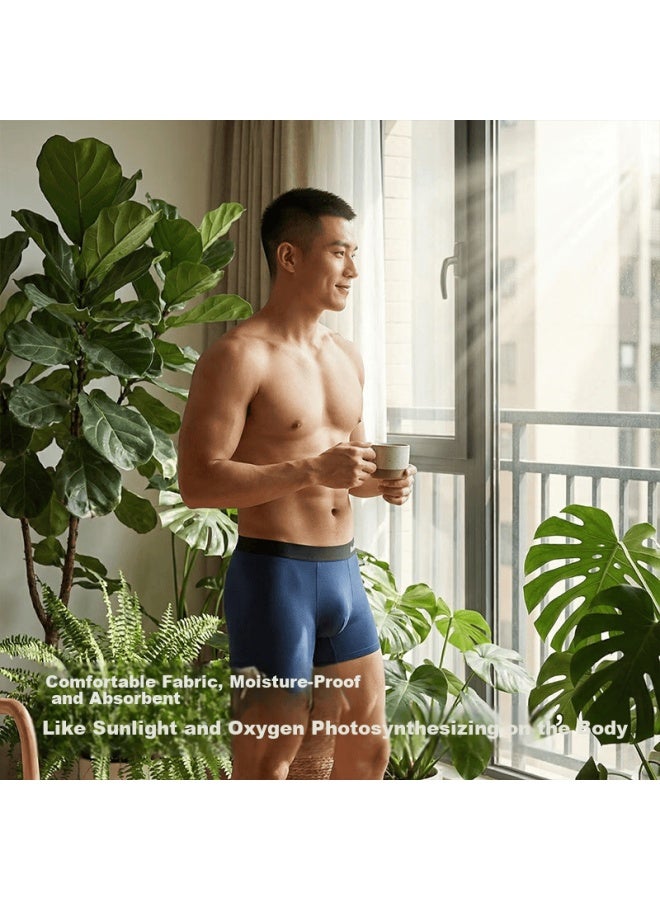 Modal Men's Underwear First Wash Free Cotton Antibacterial Breathable Boxer Shorts Large Size 4-pack 5XL - Image 2