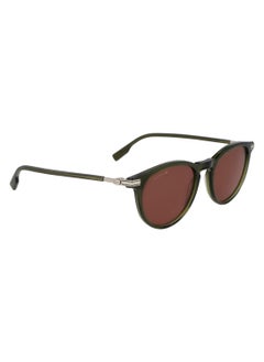 LACOSTE FULL RIM METAL ACETATE LACOSTE SUNS L6034S 5119 (275) KHAKI  - Image 3