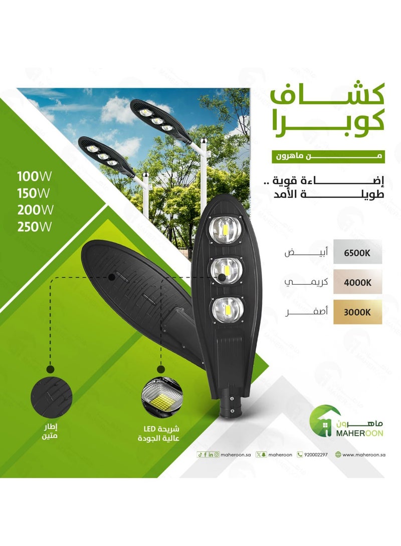 ماهرون فانوس شارع كوبرا  100 واط 3000K - Image 1