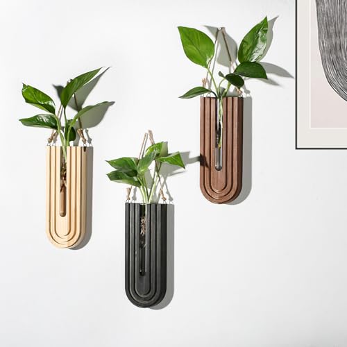 Dnnnii Indoor Wood Wall Planter Set of 3 for Plants - Boho Handmade Hanging Propagation Station with Curved Rainbow Design, Wall Mounted Vase for Flowers, Natural Home Decor Living Room Entryway - Image 2