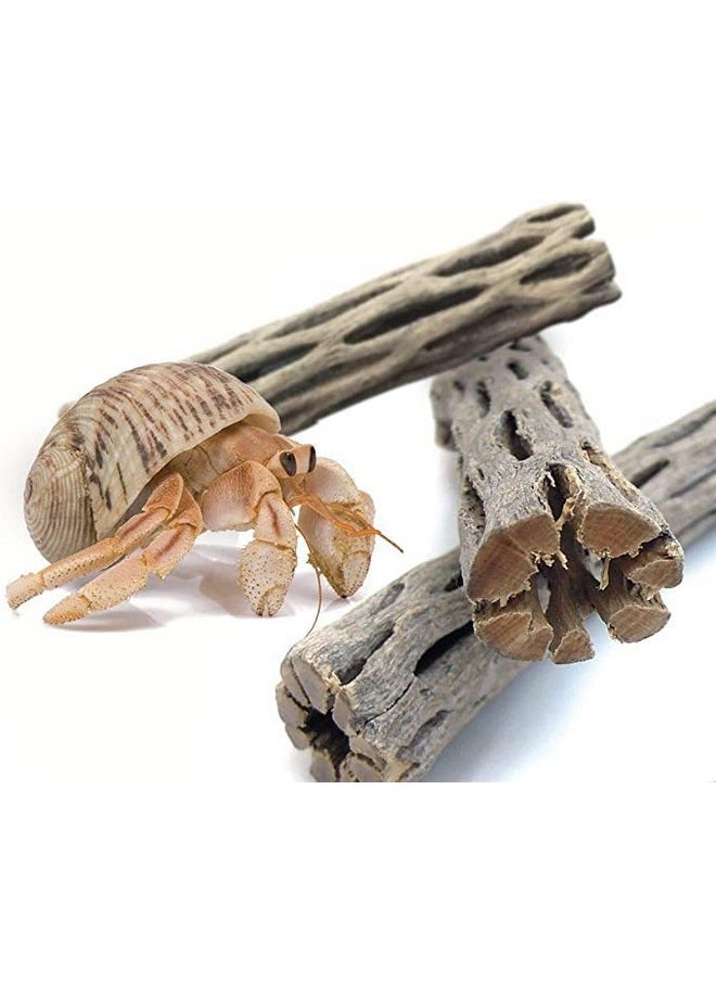 SunGrow Hermit Crab Woods, Climbing Logs, Chews, Keep Hermies Busy And Active, Long Dried Aquarium Décor Adds Raw Beauty (6 Pieces, 6 Inches)  - Image 2