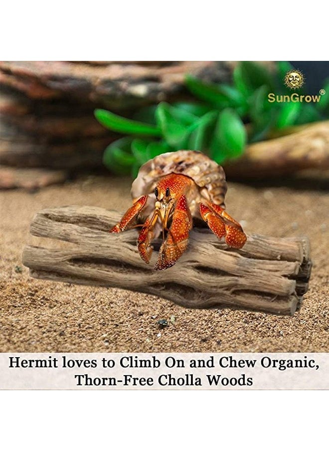 SunGrow Hermit Crab Woods, Climbing Logs, Chews, Keep Hermies Busy And Active, Long Dried Aquarium Décor Adds Raw Beauty (6 Pieces, 6 Inches)  - Image 3