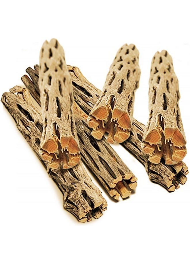 SunGrow Hermit Crab Woods, Climbing Logs, Chews, Keep Hermies Busy And Active, Long Dried Aquarium Décor Adds Raw Beauty (6 Pieces, 6 Inches)  - Image 1