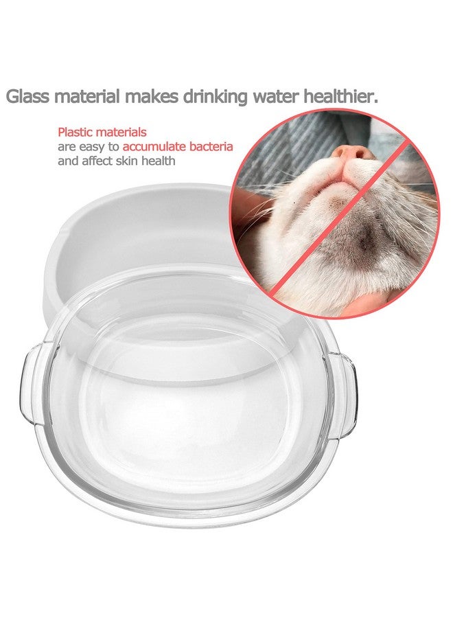 ستار أوعية طعام القطط الزجاجية الصغيرة، وعاء ماء ضحل للقطط والقطط والجراء والكلاب الصغيرة، وعاء طعام شفاف للحيوانات الأليفة، يعزز ترطيب الحيوانات الأليفة، تصميم متين ومستقر، يحمي العمود الفقري للحيوان الأليف، آمن للغسل في غسالة الأطباق - Image 5