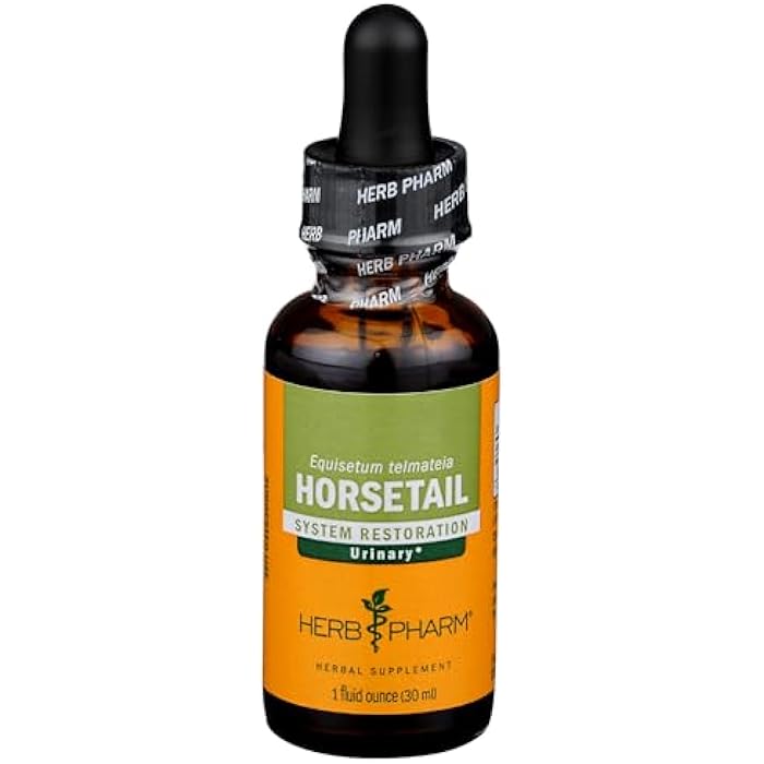 Herb Pharm Horsetail Liquid Extract Drops for Urinary System Support, 1 Oz - Image 1