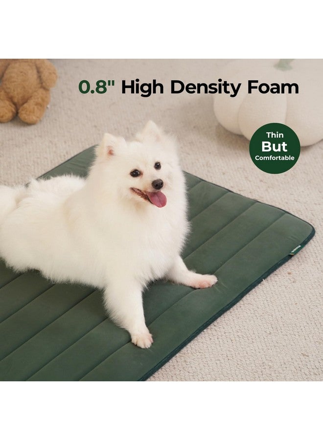 بالنس وسادة قفص الكلاب BALANCE، وسادة قفص إسفنجية للكلاب، سرير للحيوانات الأليفة قابل للغسل ومقاوم للماء، حصيرة قفص مسطحة للكلاب الكبيرة جدًا - Image 3