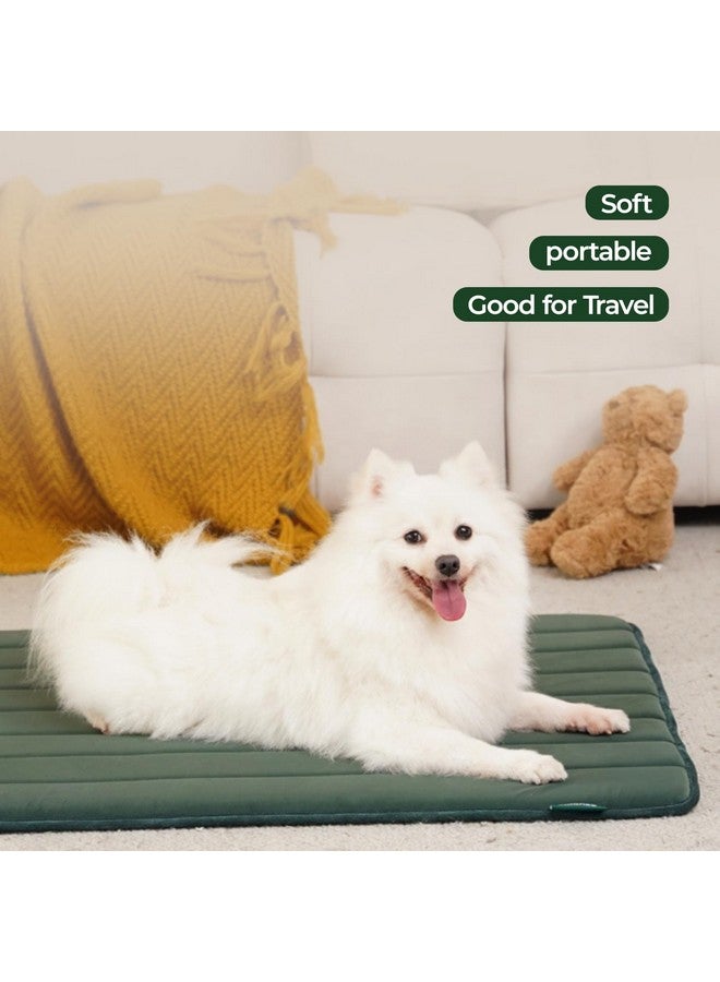 بالنس وسادة قفص الكلاب BALANCE، وسادة قفص إسفنجية للكلاب، سرير للحيوانات الأليفة قابل للغسل ومقاوم للماء، حصيرة قفص مسطحة للكلاب الكبيرة جدًا - Image 2