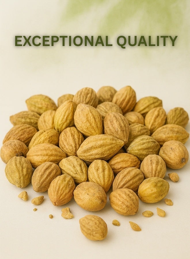 زهر ميروبالان هاريتاكي أصفر كامل - 100% جذر مجفف طبيعي، مختار يدويًا، بذور عالية الجودة للاستخدامات الروحية والطهوية والديكورية - Image 3