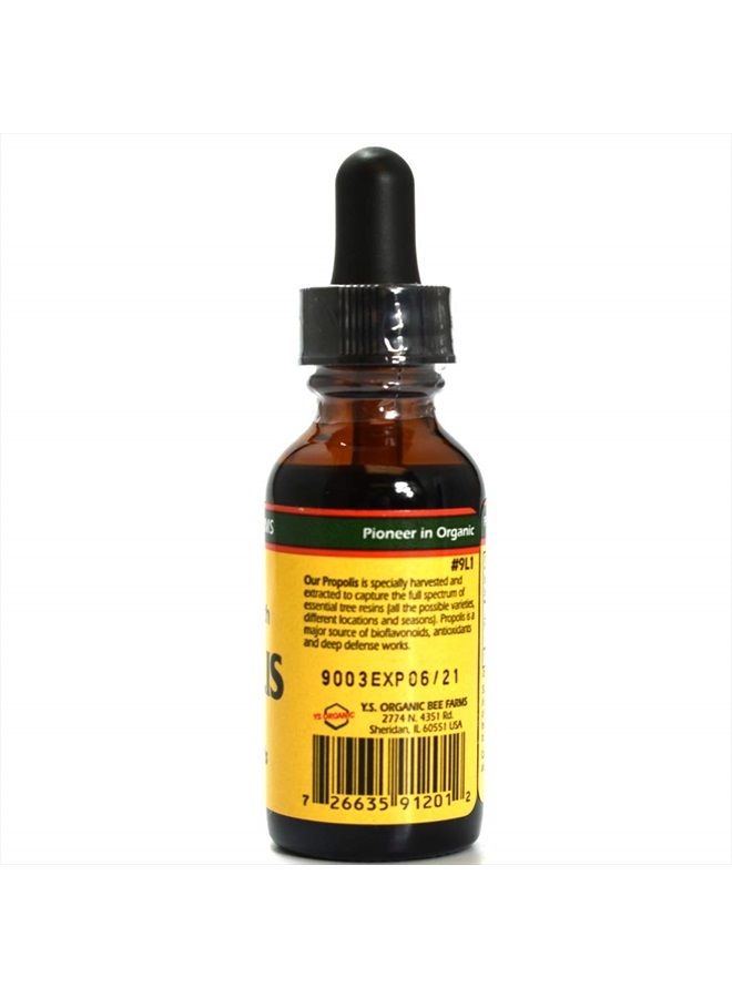 YS BEE FARMS مزارع النحل YS، مستخلص البروبوليس، قوة فائقة عضوي، 1 أونصة سائلة - Image 3