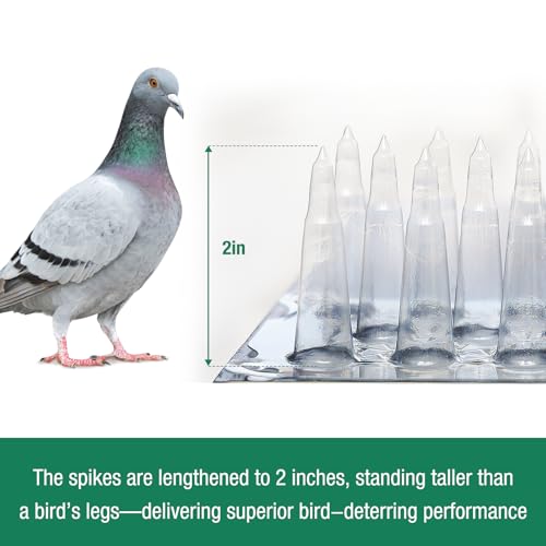 Touri Upgraded 24 Pack Bird Spikes, Covers 34 Feet(10.36m), Clear PVC Bird Deterrent Spikes Strips, Restrict Birds from Standing and Nesting, Keep Birds, Cats, Pigeons, and Other Animals Away - Image 2