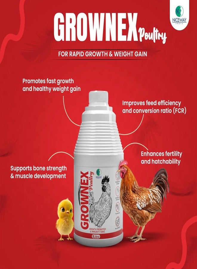 NICEWAY INDIA® GROWNEX™ Poultry - Growth Supplement for Chicken, Hen, Broilers (1 Litre) - Image 2