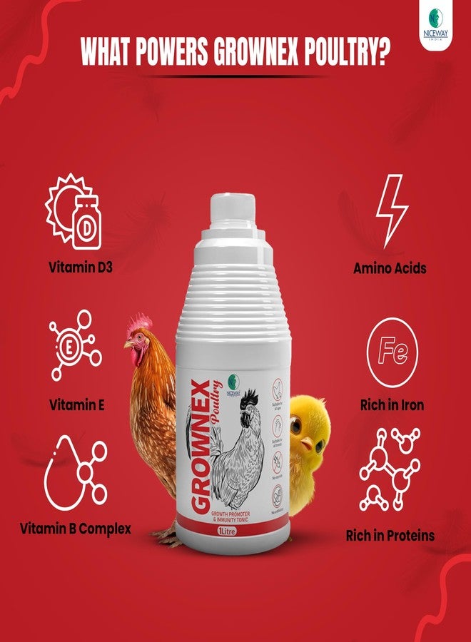 NICEWAY INDIA® GROWNEX™ Poultry - Growth Supplement for Chicken, Hen, Broilers (1 Litre) - Image 3