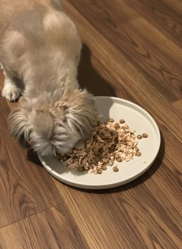 Arespark Cat Food Mat, Set of 2 Nonslip Waterproof Feeding Bowl Silicone Mats with Raised Edges for Food Water Prevent Spills, Round Eating Plates Tray for Dog Cat Puppy Kitten, 8'' x 8'' - Image 4